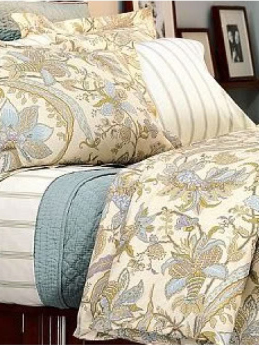 Pottery Barn Brigitte Queen Duvet Cover and Includes Two Shams